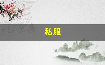 私服(荒野乱斗私人服破解版下载) (3)